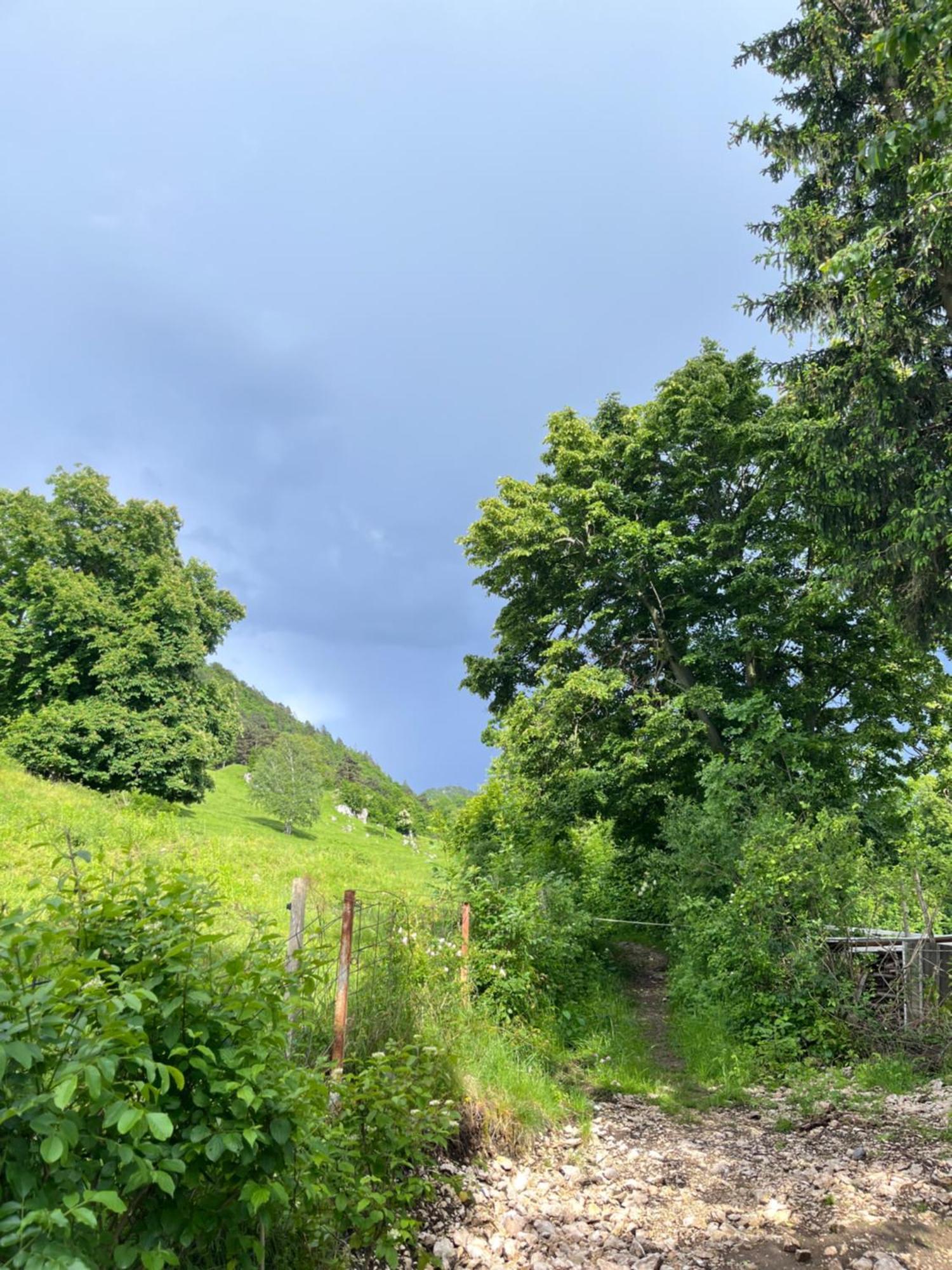 Cottage Жировница Экстерьер фото