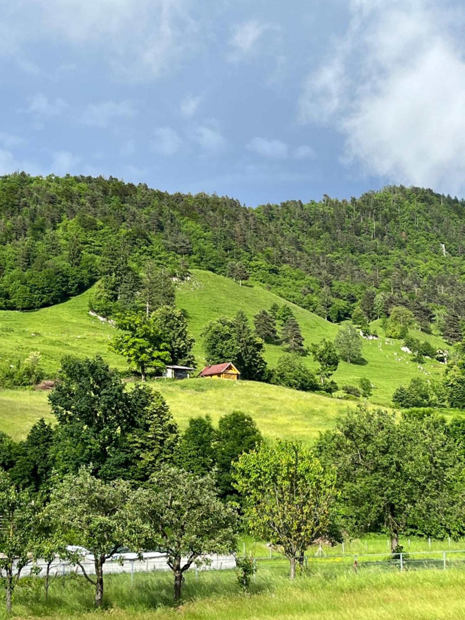 Cottage Жировница Экстерьер фото