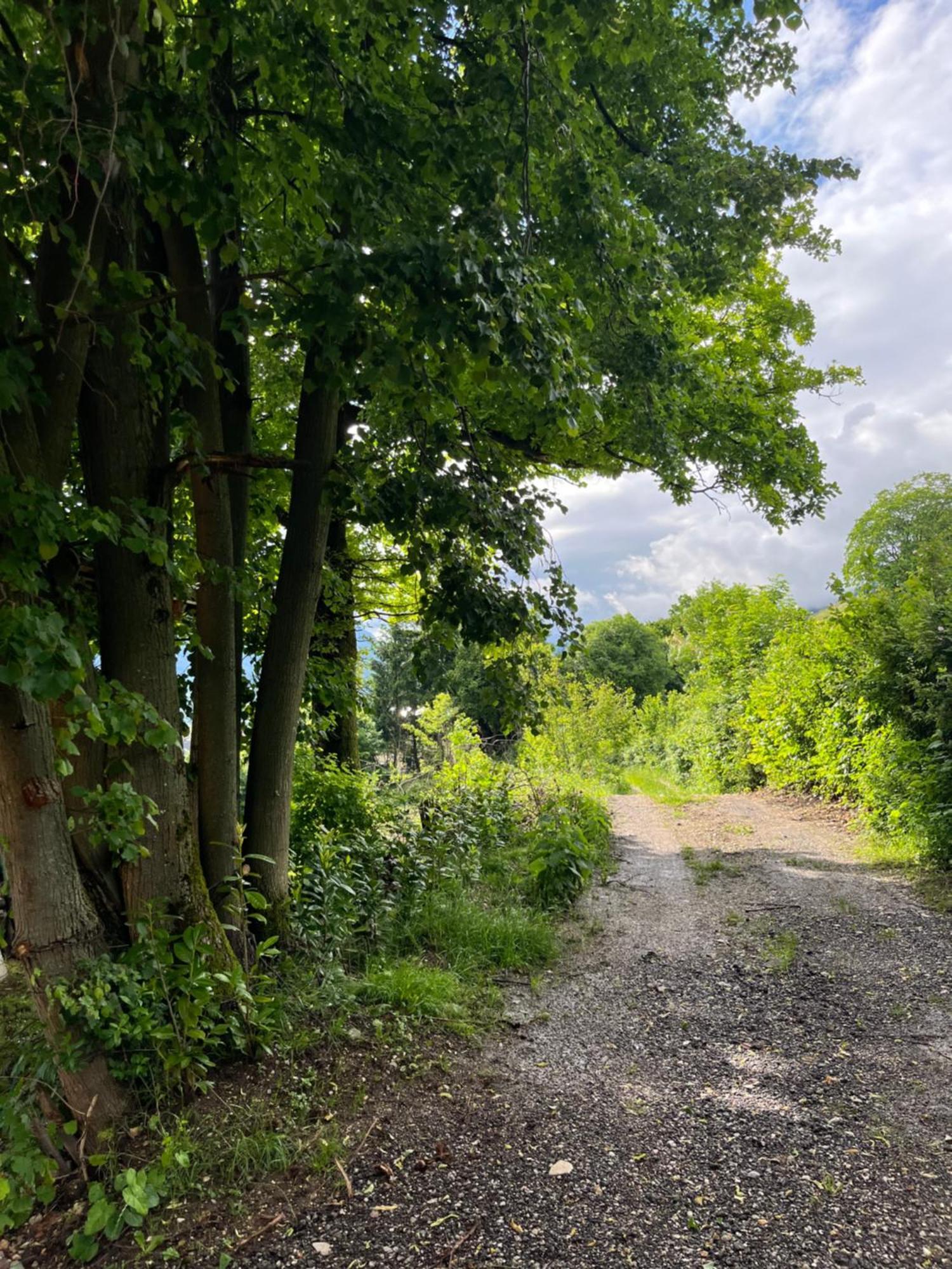 Cottage Жировница Экстерьер фото
